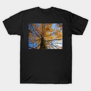 Autumn Sky T-Shirt